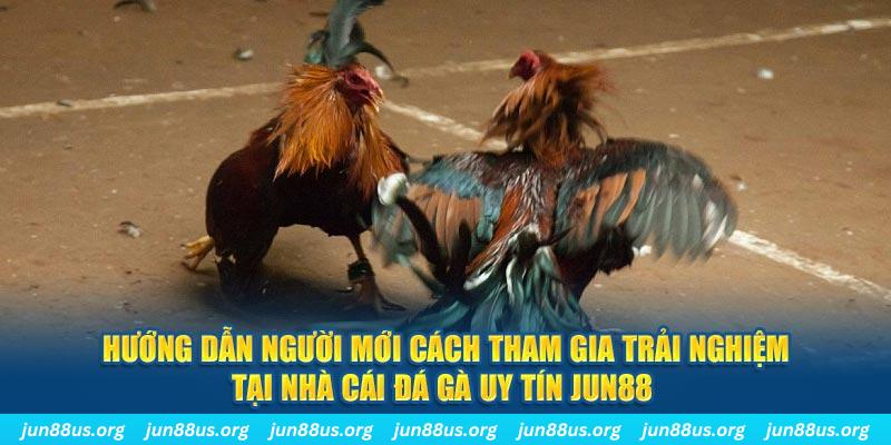 mcw 67 loi game dot kich ket noi may chu that bai