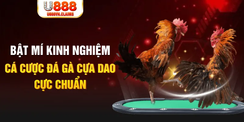 mcw 67 xổ số miền nam xổ số miền nam
