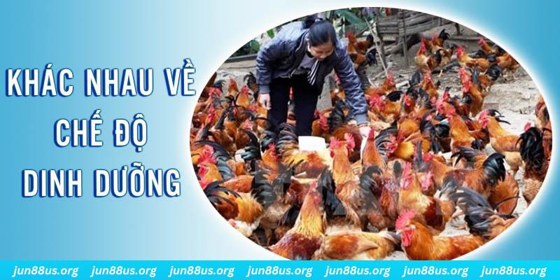 mcw 67 xổ số miền nam thứ năm hàng tuần