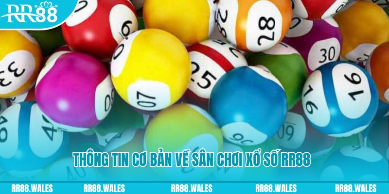 mcw 67 đá gà hôm nay