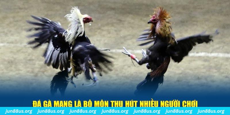 mcw 67 đăng nhập lô đề hàng đầu