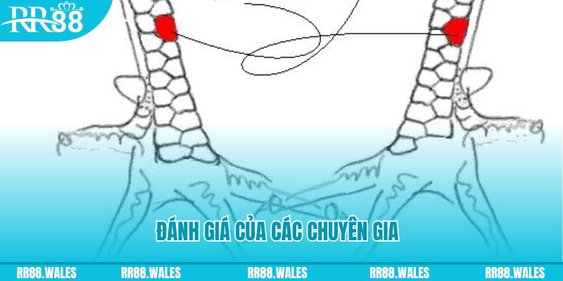 mcw 67 V8 Game Bài 3d