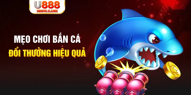 mcw 67 baccarat có hợp pháp không