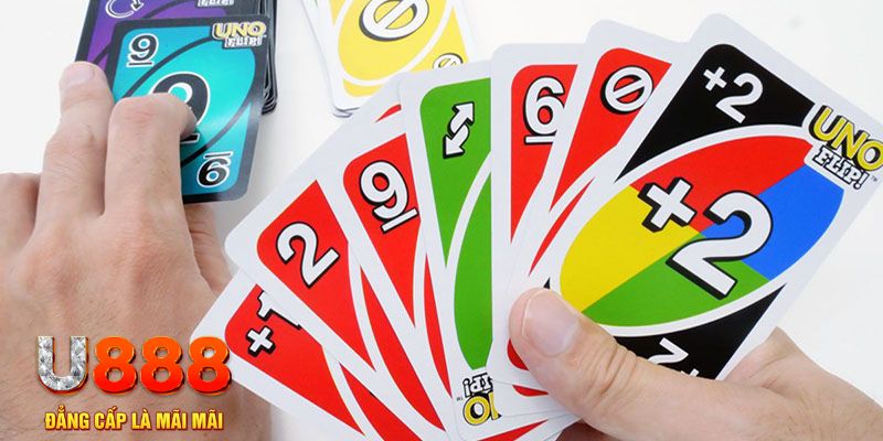 mcw 67 gà chọi cu cần