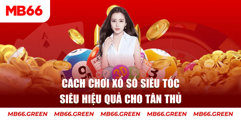 mcw 67 trực tiếp đá gà c3 hôm nay