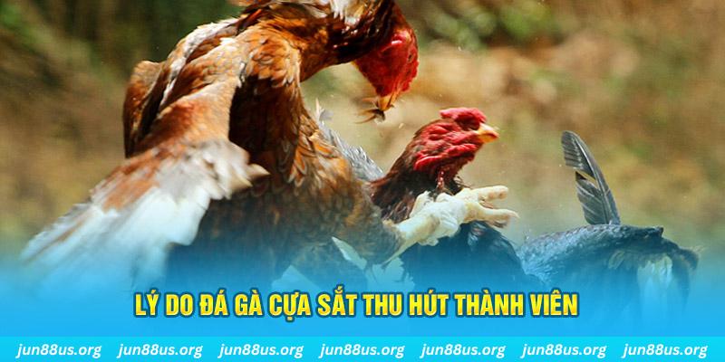 mcw 67 chiếm slot là gì