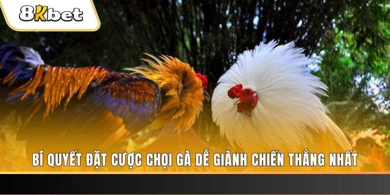 mcw 67 xổ số thứ hai hàng tuần