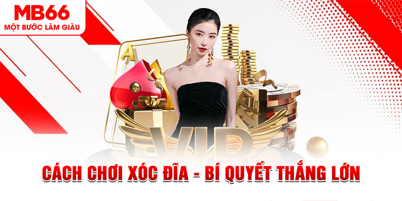mcw 67 trực tiếp đá gà c1 hôm nay