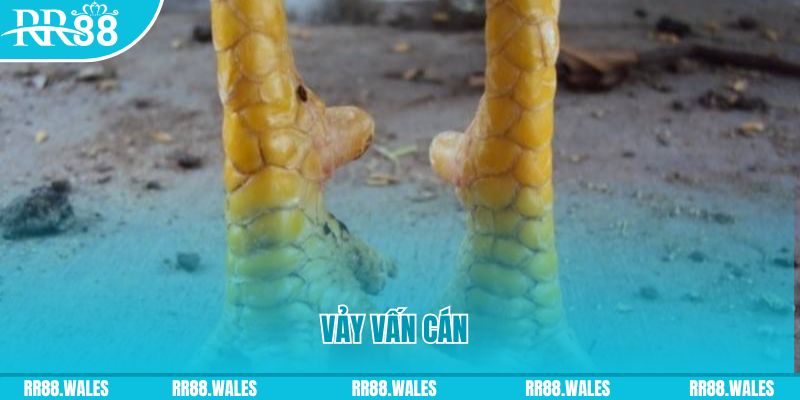 mcw 67 đăng nhập nổ hũ hôm nay