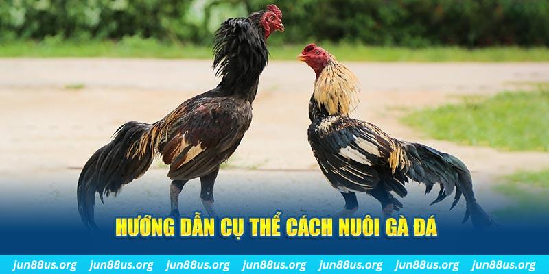 mcw 67 đăng nhập sòng bạc số 1
