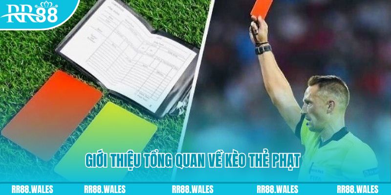 mcw 67 những ai nên chơi nổ hũ