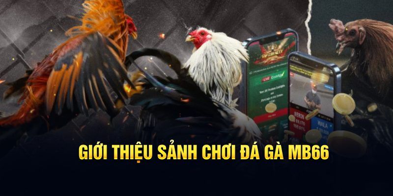 mcw 67 đăng nhập poker hôm nay