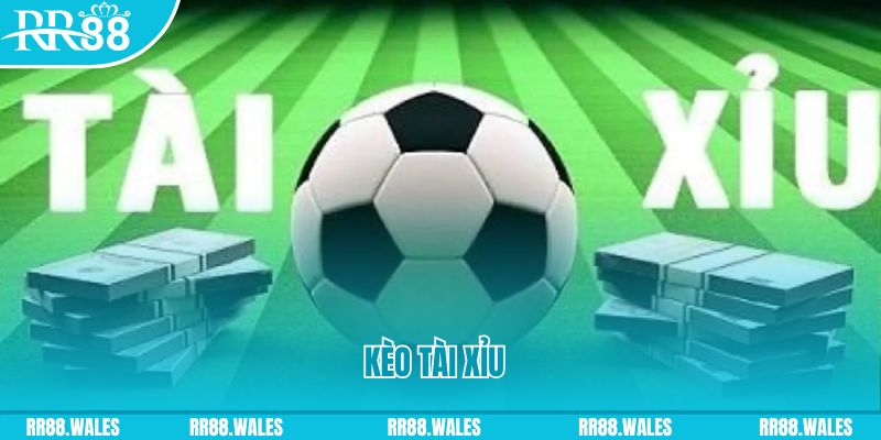 mcw 67 gà chọi hoà phong